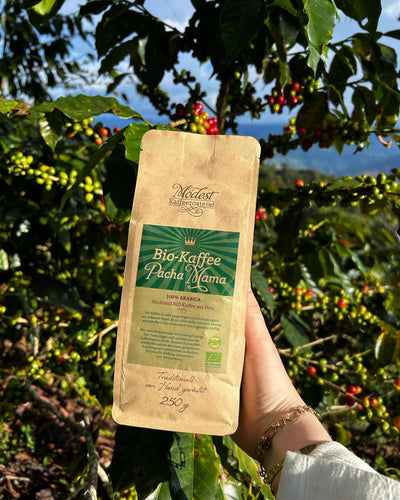 Instagram-Beitrag 5 von Modest Kaffeerösterei